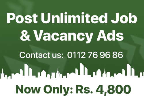 DreamJobs